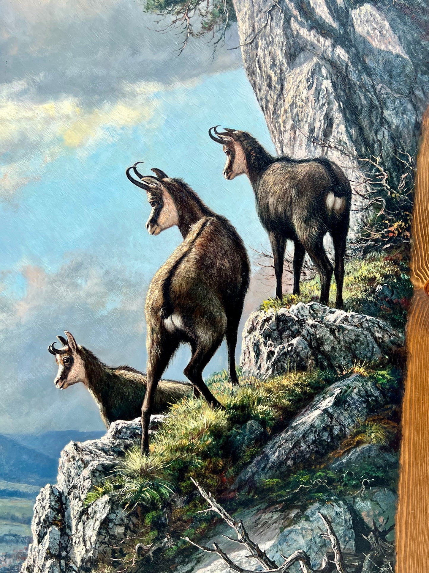 Wildmaler Moser Gemsen im Gebirge