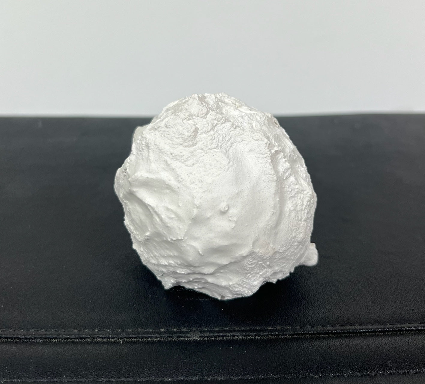 Not Vital: Schneeball, Gips, ca. 8 cm, Rückseite, organische Struktur und Relief.